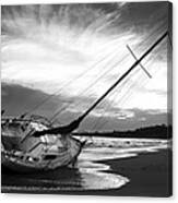 Washed Up Canvas Print