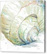Water Conch Canvas Print
