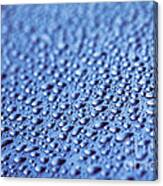 Water Drops Canvas Print