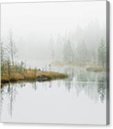Water In Forest Canvas Print