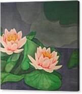 Water Lilies Canvas Print