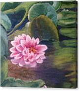 Water Lily In Bloom  Pastel Canvas Print