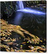 Water Motion Canvas Print