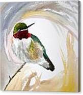 Watercolor - Broad-tailed Hummingbird Canvas Print
