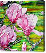 Watercolor Exercise Magnolias Canvas Print