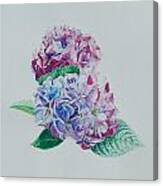 Watercolored Hydrangea Canvas Print