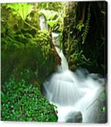 Waterfall In The Rainforest, Malaysia Canvas Print