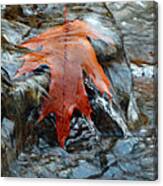 Waterfall Leaf Canvas Print