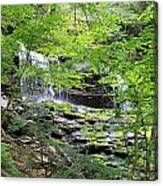 Waterfall Ricketts Glen State Park Pa Canvas Print