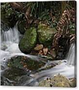 Waterfall Canvas Print