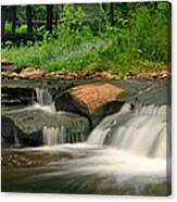 Waterfalls And Wildflowers Canvas Print