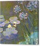 Waterlilies And Agapanthus Canvas Print