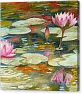 Waterlily Pond Canvas Print