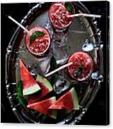 Watermelon, Gin And Mint Cocktail Canvas Print