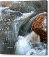 Waters In The Wilderness Canvas Print
