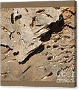 Weathered Willow Wood-ii Canvas Print