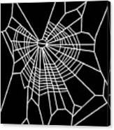 Web Of Spider Exposed To Marijuana Canvas Print