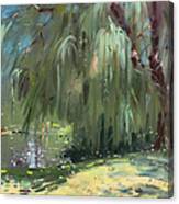 Weeping Willow Tree Canvas Print