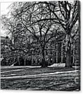 Wesleyan University Campus Canvas Print