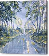 Wet Road In Woldgate Canvas Print