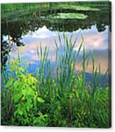 Wetland Serenity Canvas Print