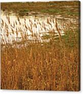 Wetlands Canvas Print