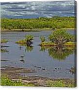 Wetlands On Merritt Island Canvas Print