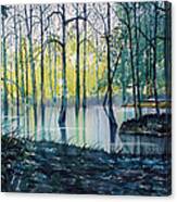Wetlands On Skipwith Common Canvas Print