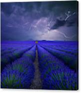 Wetter Im Lavendelfeld Canvas Print