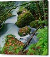 Whatcom Falls 1 Canvas Print