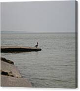 Solitude On Lake Erie Canvas Print