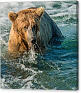 Whirlpool Grizzly Canvas Print