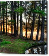 Whispering Pines 2 Canvas Print