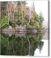 White Birch Reflections Canvas Print