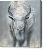 White Buffalo Canvas Print White Buffalo Canvas Print