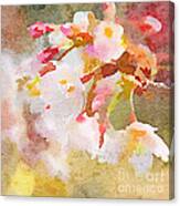 White Cherry Blossoms Digital Watercolor Painting 4 Canvas Print