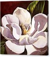White Magnolia With Red Canvas Print