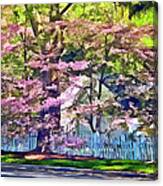 White Picket Fence By Flowering Trees Canvas Print