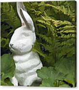White Rabbit Among Lady's Mantel And Ferns Canvas Print