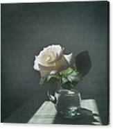White Rose Still Life Canvas Print