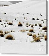 White Sands Life Canvas Print