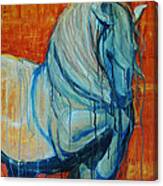 White Stallion Canvas Print