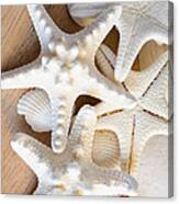 White Starfish Canvas Print