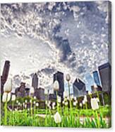 White Tulips And Skyline Canvas Print