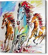Wild Horses Running Canvas Print