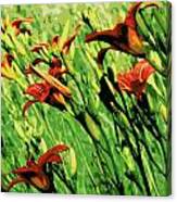 Wild Lilies Canvas Print