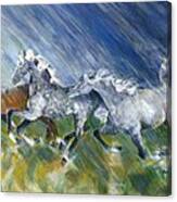 Wild Storm Canvas Print