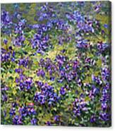Wild Violets Canvas Print