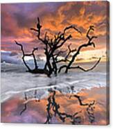 Wildfire Canvas Print