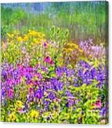 Wildflower Beauty Canvas Print